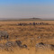 Ngorongoro Crater